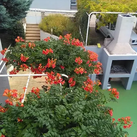 Zelic Guest house *